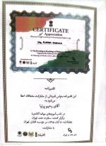 تمبر طلای فاخر مهاتما گاندی - Image 4
